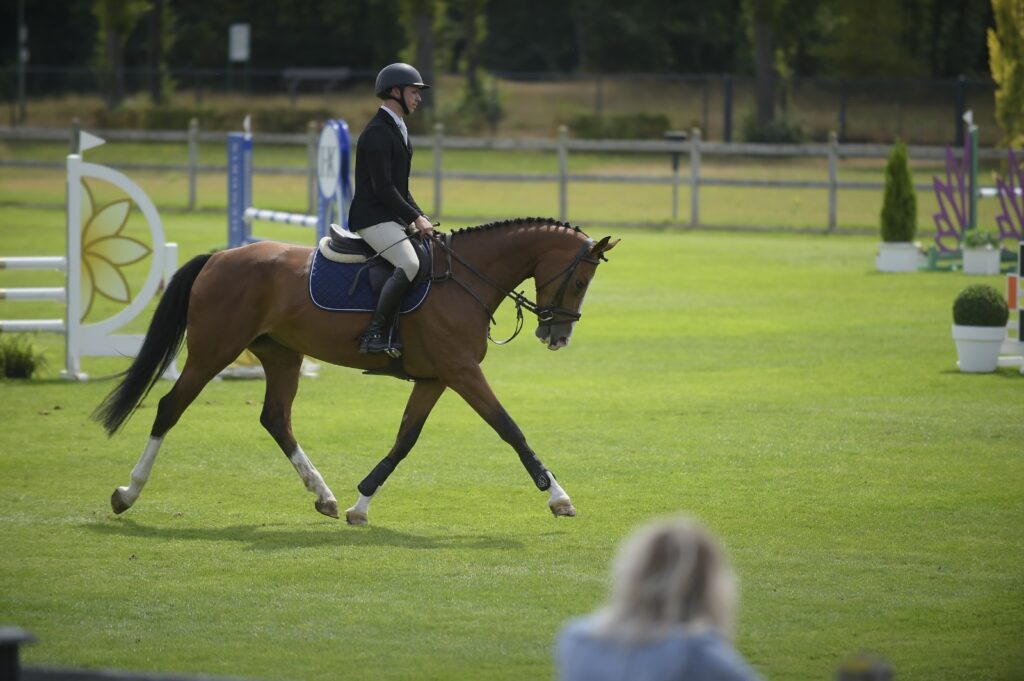 Trainen van jonge paarden | Ivo Steeghs | Hippisch Centrum Caprilli