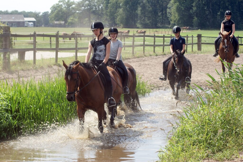 Ponykamp Caprilli door de waterbak