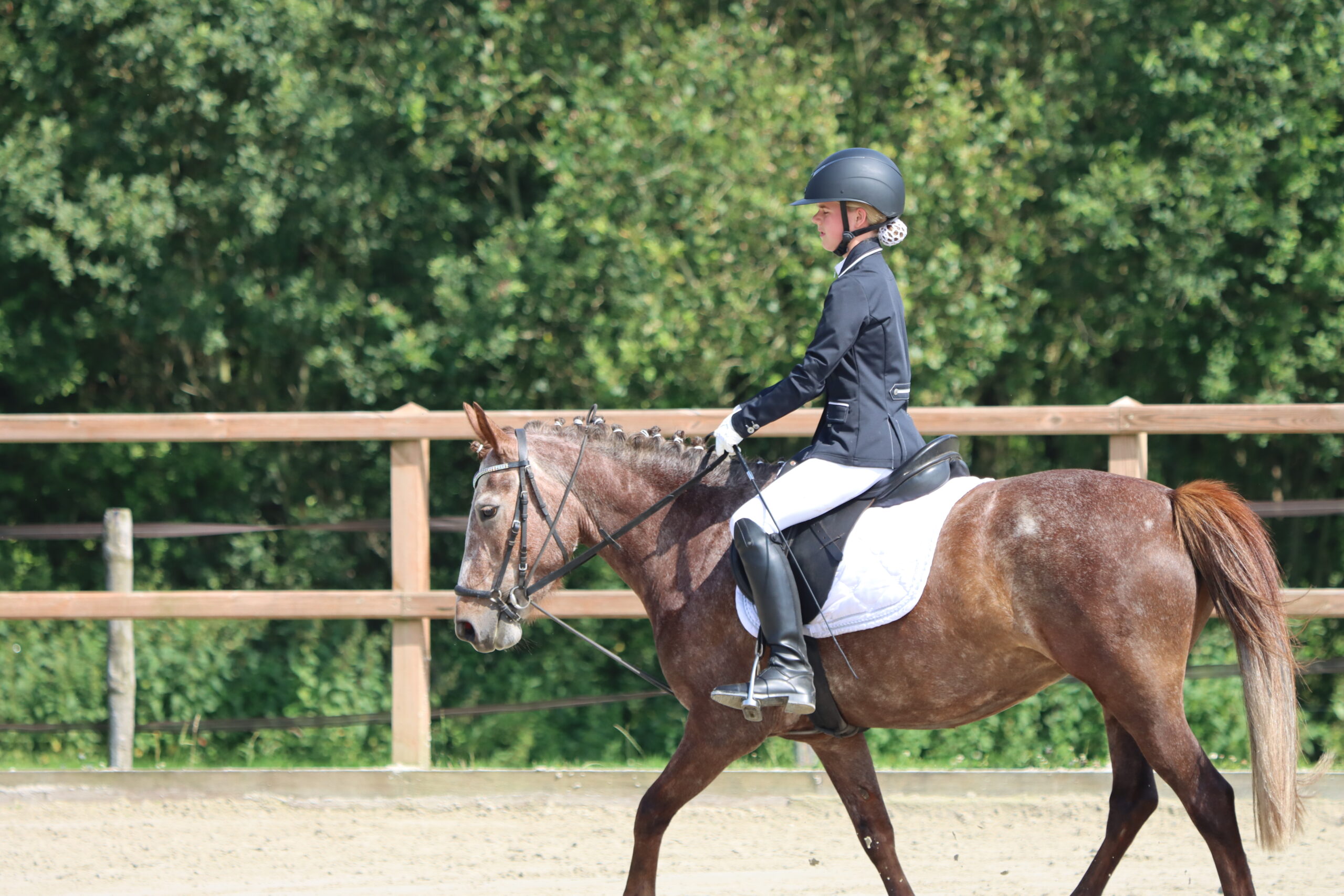 Caprilli Ruiter Academy Milou en Mirza