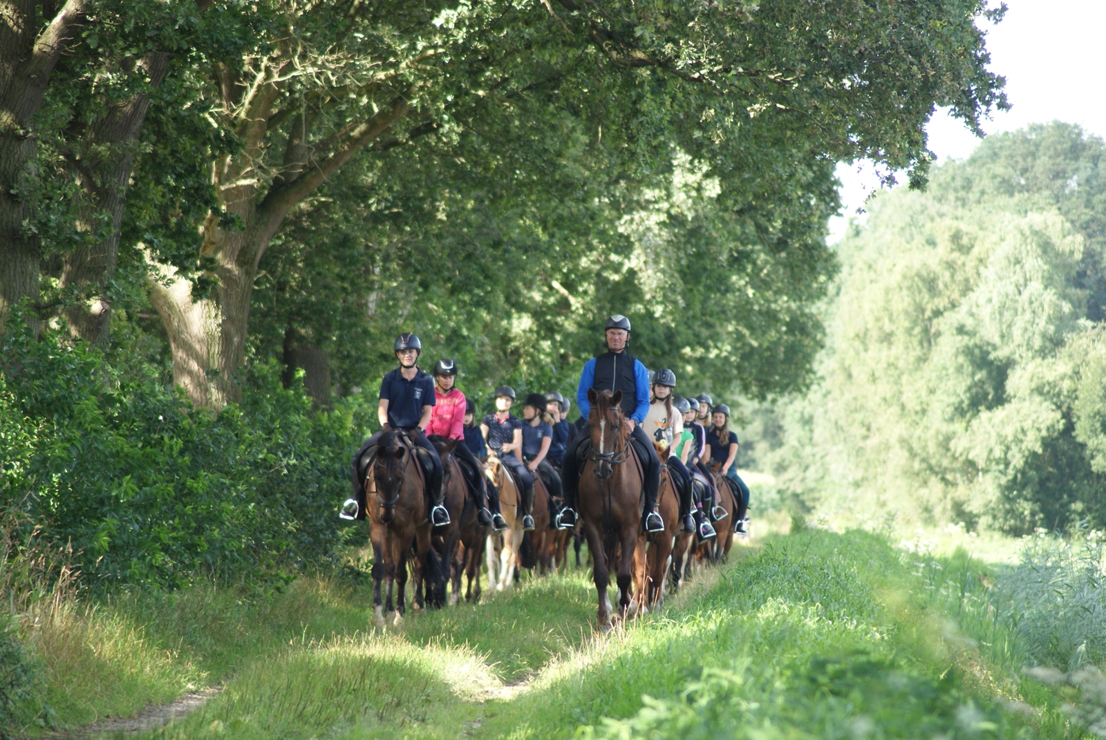 Buitenrit Hippisch Centrum Caprilli