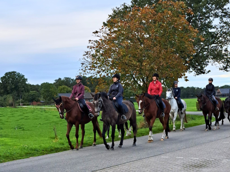 Tourtocht en brunch PSV Caprilli