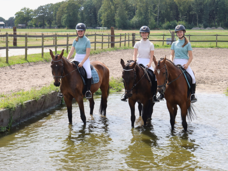 Uitstappen in de waterbak na Fun Dressuur Caprilli