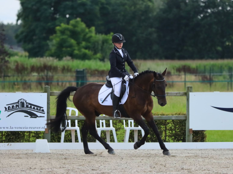 Wedstrijd PSV Caprilli ponyclub